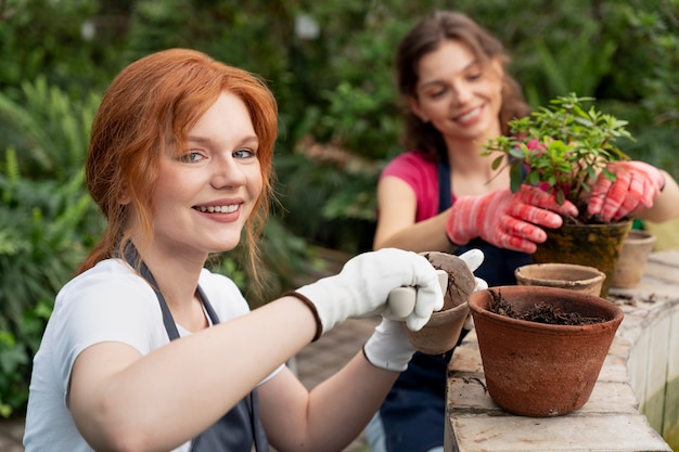 Changing soil and pots