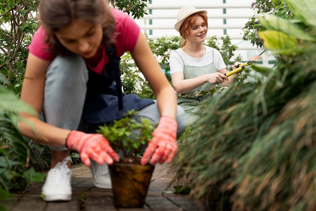 Effect of pruning on plants