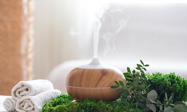 Eucalyptus properties; Disinfect your home with smoke