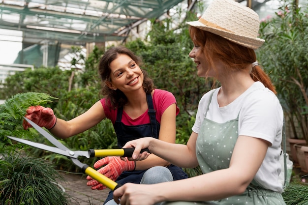 Gardening training and tips