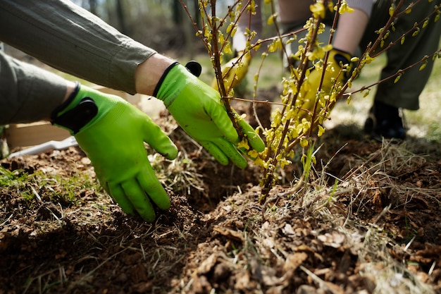 Horticulture education requirements