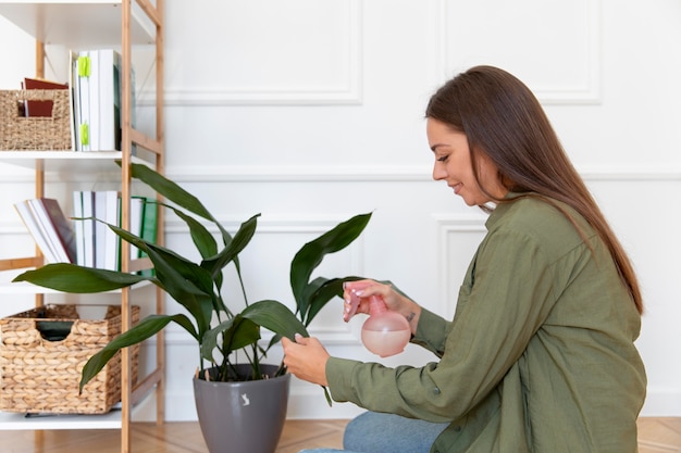 The most durable houseplants