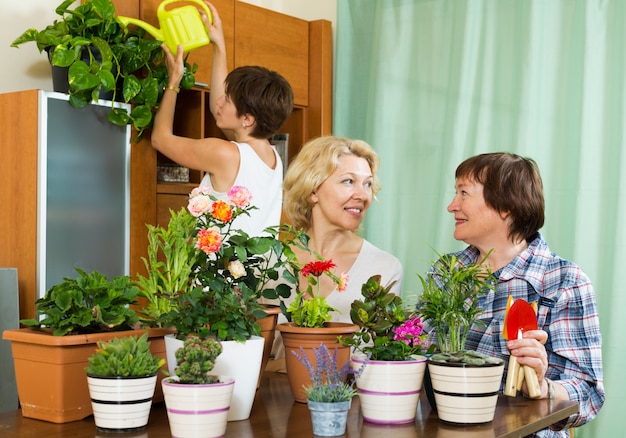 apartment flowers