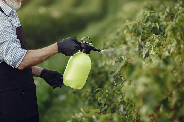 Time to spray fruit trees + how to spray