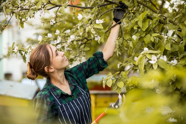 Gardening, pruning fruit trees