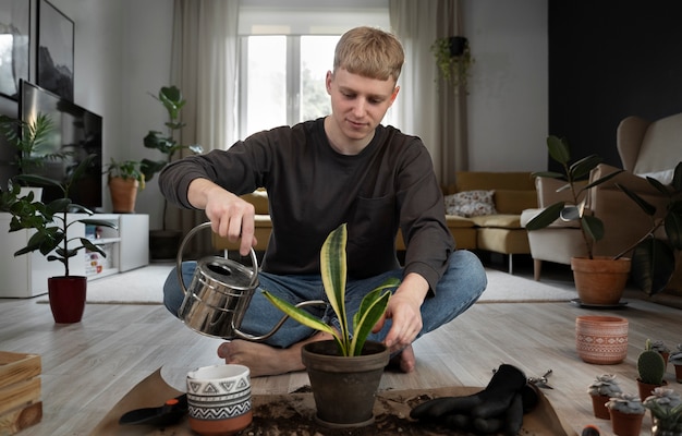 How to maintain and fertilize houseplants