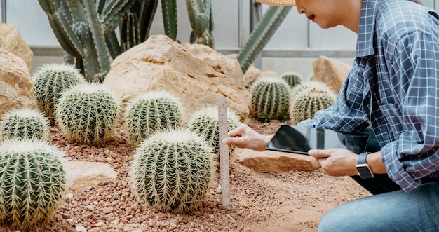 Cutting cactus