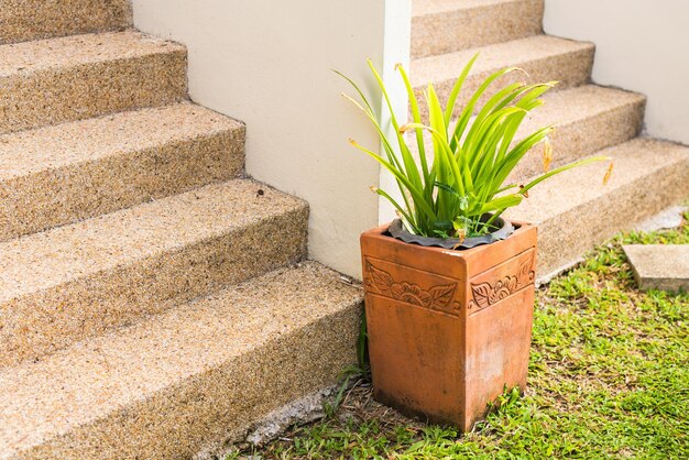 Plants for outdoor stairs