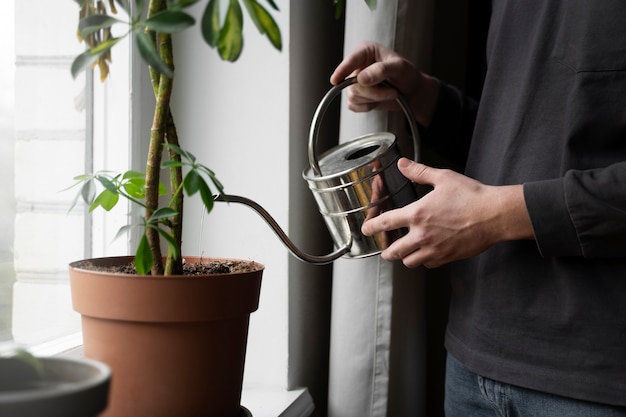 Proper timing for drip watering the pot