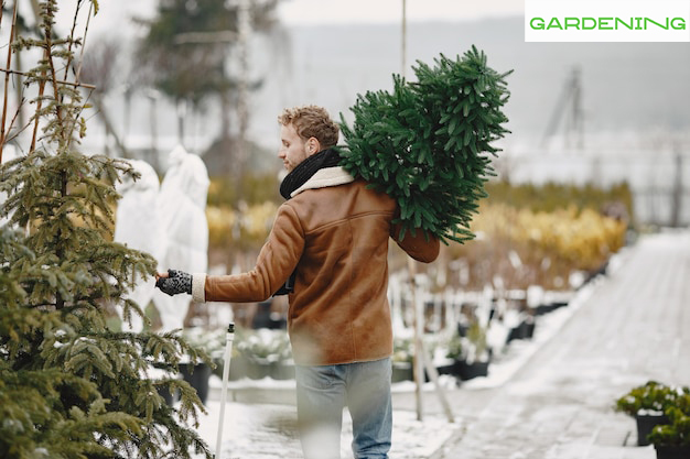 winter greenhouse plants